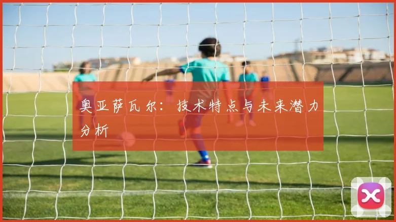 奥亚萨瓦尔:技术特点与未来潜力分析